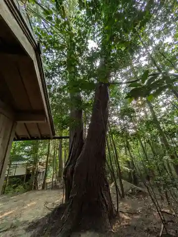川除御霊神社(兵庫県)