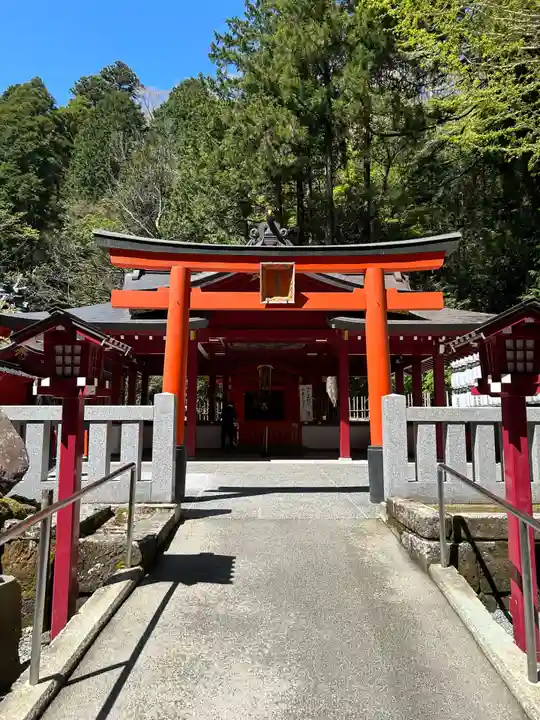 九頭龍神社新宮(神奈川県)