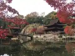 永保寺の庭園