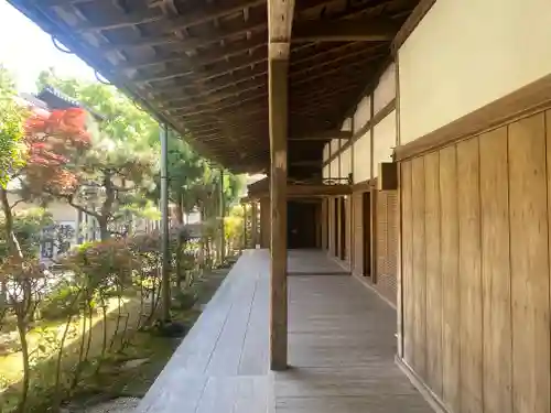 円満院門跡(滋賀県)