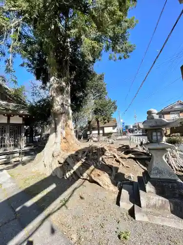 八幡神社(滋賀県)
