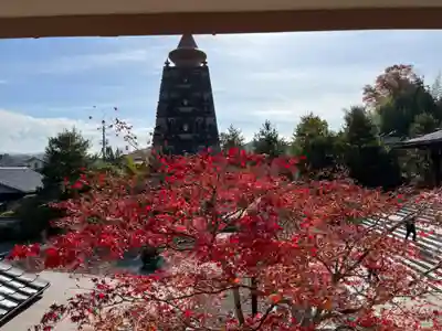 妙満寺(京都府)