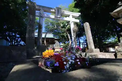 熊野福藏神社の鳥居