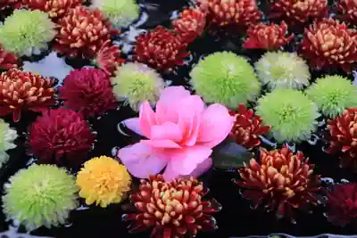 大鏑神社の手水舎