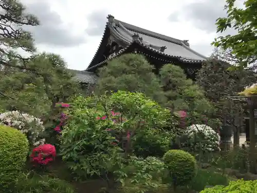 蓮光寺の本殿