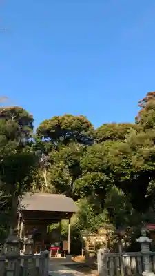 葛原岡神社の{uncategorized: "未分類", other: "その他", undefined: "問題あり", building: "その他建物", grave: "お墓", sacred_gate: "鳥居", guardian: "狛犬", statue: "像", buddha: "仏像", history: "歴史", nature: "自然", garden: "庭園", animal: "動物", pagoda: "塔", temizu: "手水舎", mountain_gate: "山門・神門", sanctuary: "本殿・本堂", subordinate: "末社・摂社", art: "芸術", scenery: "景色", jizo: "地蔵", ema: "絵馬", goshuin: "御朱印", omikuji: "おみくじ", items: "授与品その他", amulet: "お守り", goshuincho: "御朱印帳", eats: "食事", festival: "お祭り", votive_dance: "神楽", shichigosan: "七五三参", wedding: "結婚式", experience: "体験その他", initially: "初詣", around: "周辺", anti_infection: "感染症対策"}