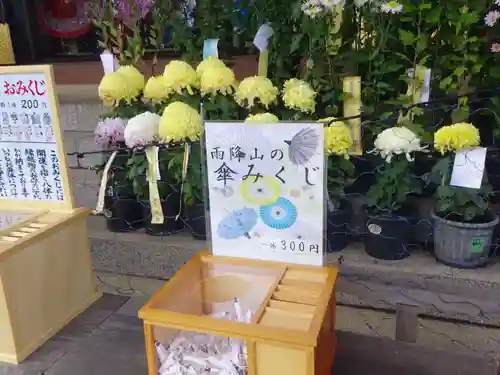 大山阿夫利神社のおみくじ