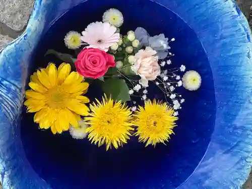 川越八幡宮(埼玉県)