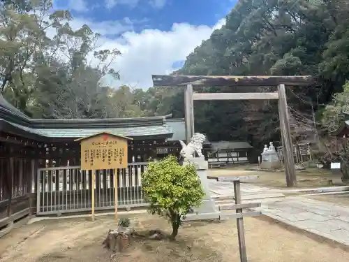 四條畷神社の{uncategorized: "未分類", other: "その他", undefined: "問題あり", building: "その他建物", grave: "お墓", sacred_gate: "鳥居", guardian: "狛犬", statue: "像", buddha: "仏像", history: "歴史", nature: "自然", garden: "庭園", animal: "動物", pagoda: "塔", temizu: "手水舎", mountain_gate: "山門・神門", sanctuary: "本殿・本堂", subordinate: "末社・摂社", art: "芸術", scenery: "景色", jizo: "地蔵", ema: "絵馬", goshuin: "御朱印", omikuji: "おみくじ", items: "授与品その他", amulet: "お守り", goshuincho: "御朱印帳", eats: "食事", festival: "お祭り", votive_dance: "神楽", shichigosan: "七五三参", wedding: "結婚式", experience: "体験その他", initially: "初詣", around: "周辺", anti_infection: "感染症対策"}