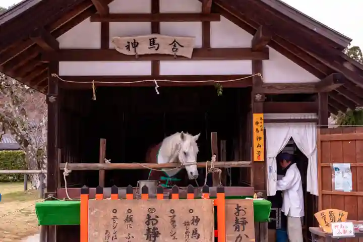 賀茂別雷神社(上賀茂神社)(京都府)