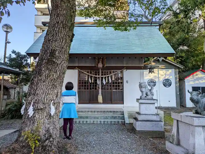 松尾神社の本殿・本堂