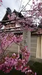 長徳寺(京都府)