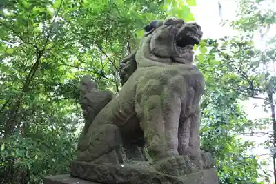 愛宕神社の狛犬