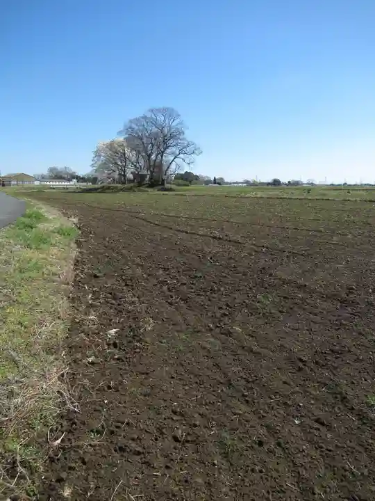 神明神社(千葉県)