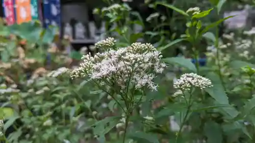 行願寺（革堂）(京都府)
