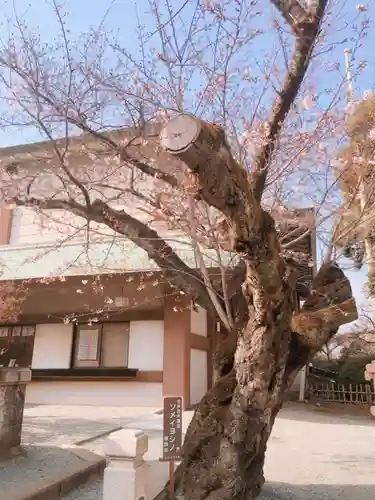 伊勢山皇大神宮のその他建物