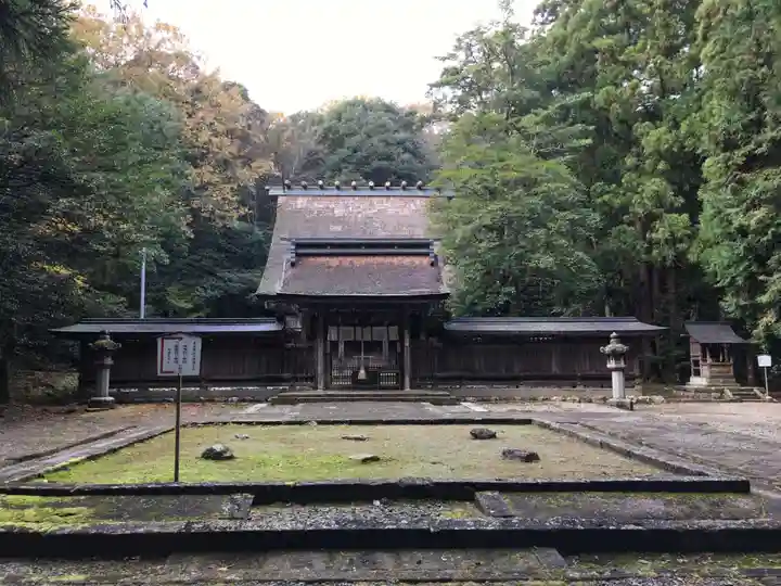 若狭彦神社(上社)の本殿・本堂