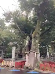 大國魂神社の建物その他