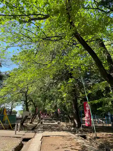三芳野神社(埼玉県)