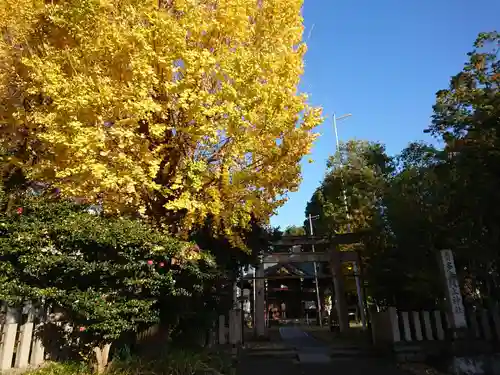 多奈波太神社の自然