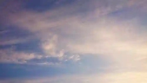 尾張大國霊神社（国府宮）の自然