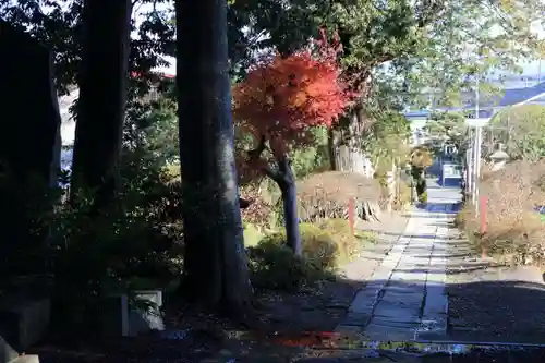 豊景神社の景色