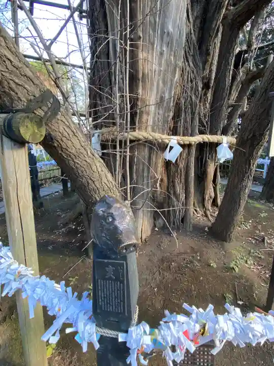 稲毛神社(神奈川県)