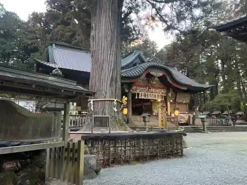 北口本宮冨士浅間神社の自然