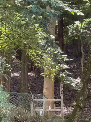 諏訪大社(長野県)