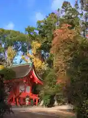 北野天満宮(京都府)