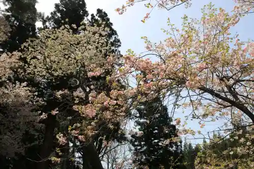 磐椅神社の自然