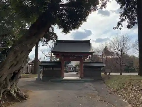 新蔵寺の山門