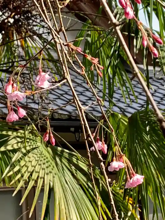 牟禮山観音禅寺の自然