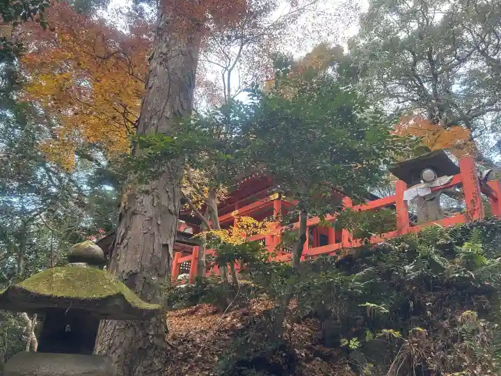 宇佐神宮の{uncategorized: "未分類", other: "その他", undefined: "問題あり", building: "その他建物", grave: "お墓", sacred_gate: "鳥居", guardian: "狛犬", statue: "像", buddha: "仏像", history: "歴史", nature: "自然", garden: "庭園", animal: "動物", pagoda: "塔", temizu: "手水舎", mountain_gate: "山門・神門", sanctuary: "本殿・本堂", subordinate: "末社・摂社", art: "芸術", scenery: "景色", jizo: "地蔵", ema: "絵馬", goshuin: "御朱印", omikuji: "おみくじ", items: "授与品その他", amulet: "お守り", goshuincho: "御朱印帳", eats: "食事", festival: "お祭り", votive_dance: "神楽", shichigosan: "七五三参", wedding: "結婚式", experience: "体験その他", initially: "初詣", around: "周辺", anti_infection: "感染症対策"}