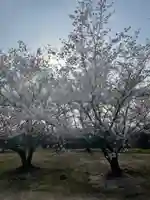 貴船神社の自然