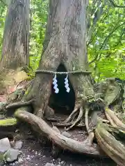 戸隠神社奥社(長野県)