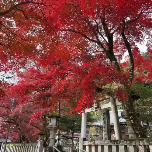 意冨布良神社(滋賀県)