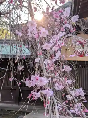 大宮八幡宮(東京都)