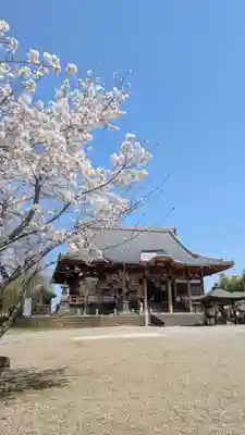 慈恩寺(埼玉県)