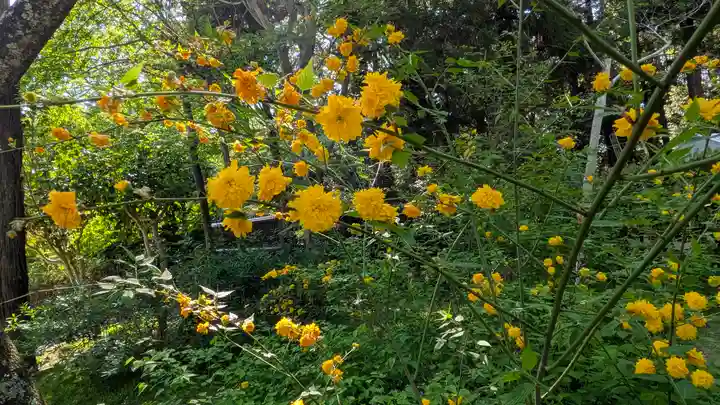 歌泉堂(春日大社神苑萬葉植物園内鎮座)(奈良県)