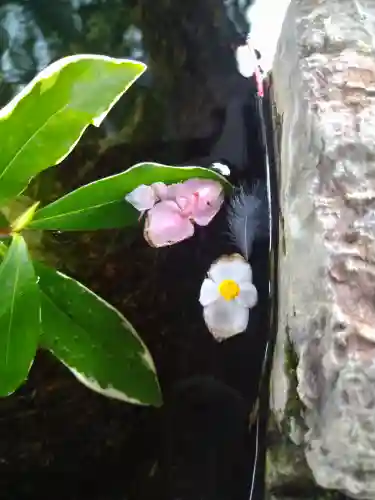 阿智神社の手水