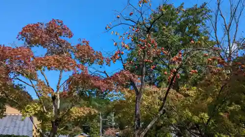 化野念仏寺(京都府)