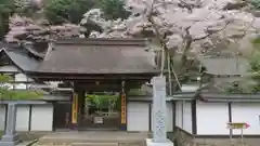 室生寺の山門