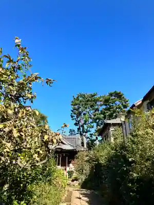 東玉川神社(東京都)