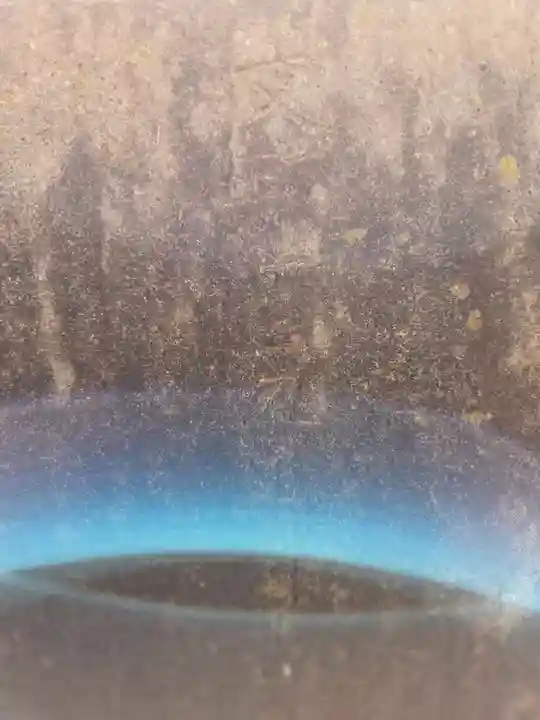 谷原氷川神社(東京都)