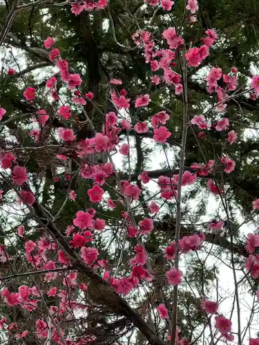 高麗神社(埼玉県)
