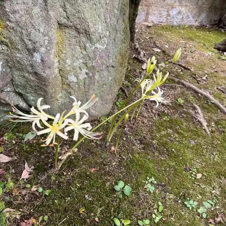 伊勢の国 四天王寺(三重県)