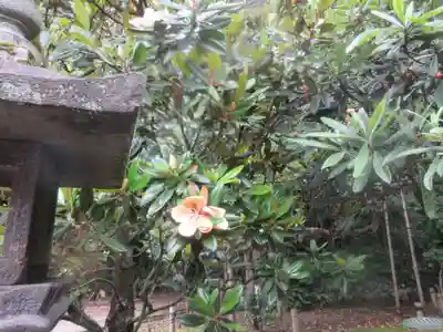 蚶満寺(秋田県)