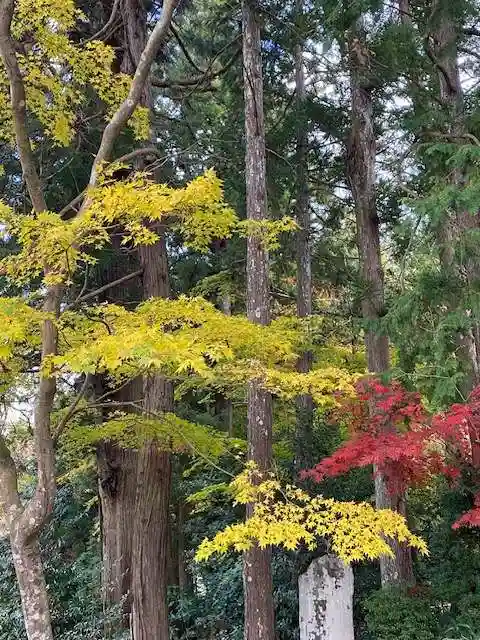 丹生都比売神社(和歌山県)