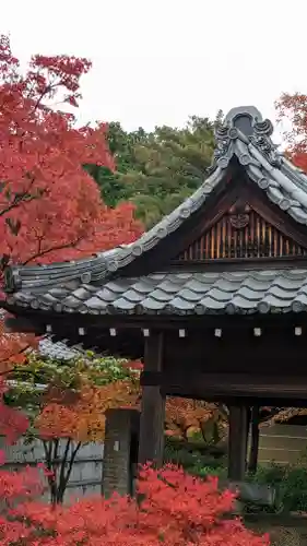 妙満寺(京都府)